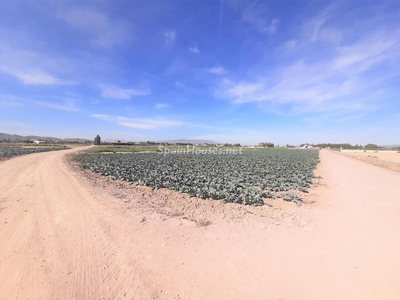 Parcela en venta en Lorca