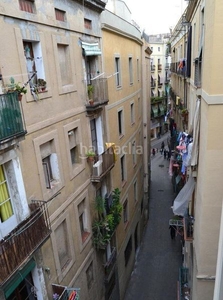 Piso en venta ciutat vella/Raval en Raval Barcelona