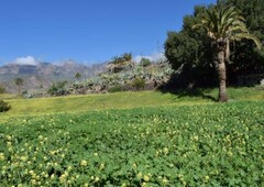 Finca/Casa Rural en venta en Santa Lucía de Tirajana, Gran Canaria