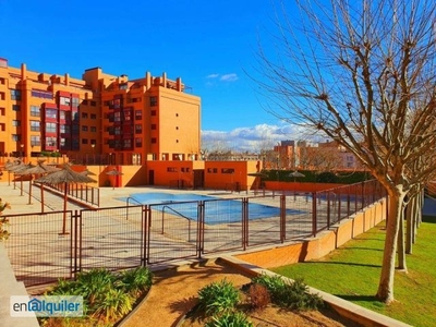 Alquiler piso piscina Fuencarral