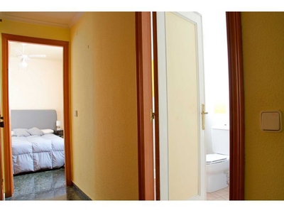 Alquiler Apartamento T2