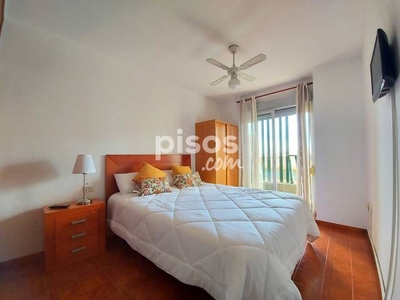 Apartamento en alquiler en Avenida Reyes Católicos, 33 en Los Gladiolos-Chapatal por 650 €/mes