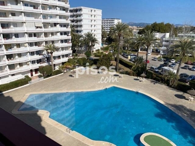 Piso en alquiler en Ciutat D´Alcúdia en Ciutat d'Alcúdia por 1.200 €/mes