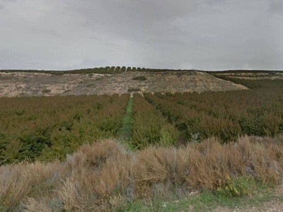 Terreno no urbanizable en venta en la Pasaje Serra Grossa' Aitona