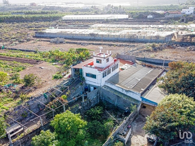 Terreno de 6.959 m² en Buenavista del Norte (38480)