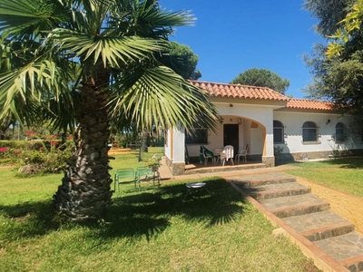 Finca/Casa Rural en venta en Castilblanco de los Arroyos, Sevilla