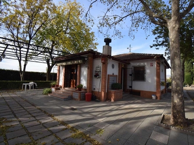 Finca rústica en venta en la Calle Real' Pinos Puente