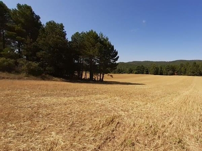 Terreno no urbanizable en venta en la Prado Incoso' Villalba de la Sierra