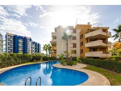 Apartamento a pasos de la playa en Punta Prima, Torrevieja