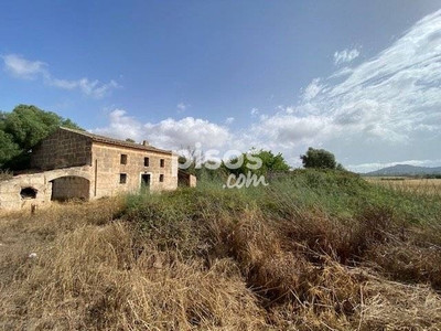 Finca rústica en venta en Manacor