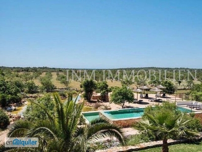 Alquiler de Casa o chalet independiente en Ses Salines (Mallorca)