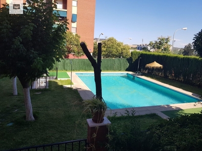Alquiler de piso con piscina y terraza en Ciudad Jardín, Vistalegre, Zoco (Córdoba), Parque Cruz Conde