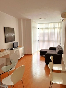 Alquiler de piso en Perchel Sur - Plaza de Toros Vieja de 2 habitaciones con muebles y aire acondicionado
