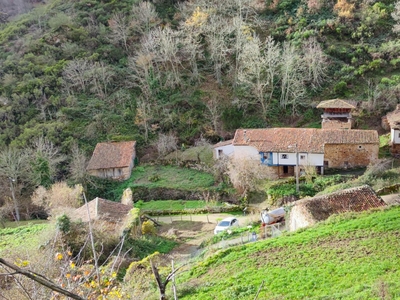 Rústico en venta, Aguino, Asturias
