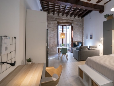 apartamento de 1 dormitorio en alquiler en Ciutat Vella, Valencia