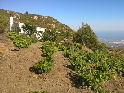 Finca/Casa Rural en venta en Molvízar, Granada