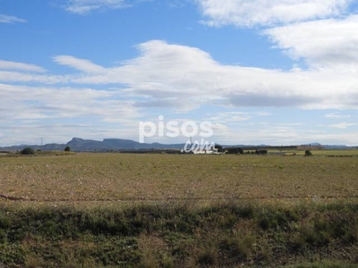 Finca rústica en venta en Jumilla