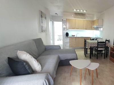 Apartamento en alquiler en avenida Marítima de 1 habitación con garaje y jardín