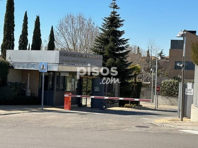 Piso en alquiler en Calle de Dámaso Alonso, 20