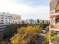 Piso vivienda con terraza y vistas al jardin del turia en Valencia
