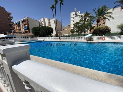 Alquiler Piso Torrevieja. Piso de dos habitaciones en doctor mariano ruiz canov. Con terraza