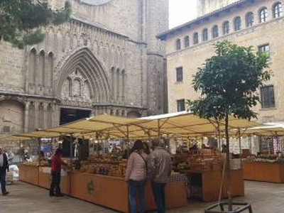 Ático Calle de Petritxol, El Barri Gòtic, Barcelona