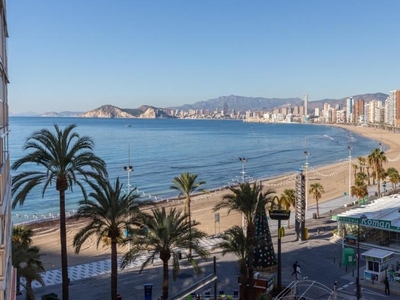 Estudio en Benidorm